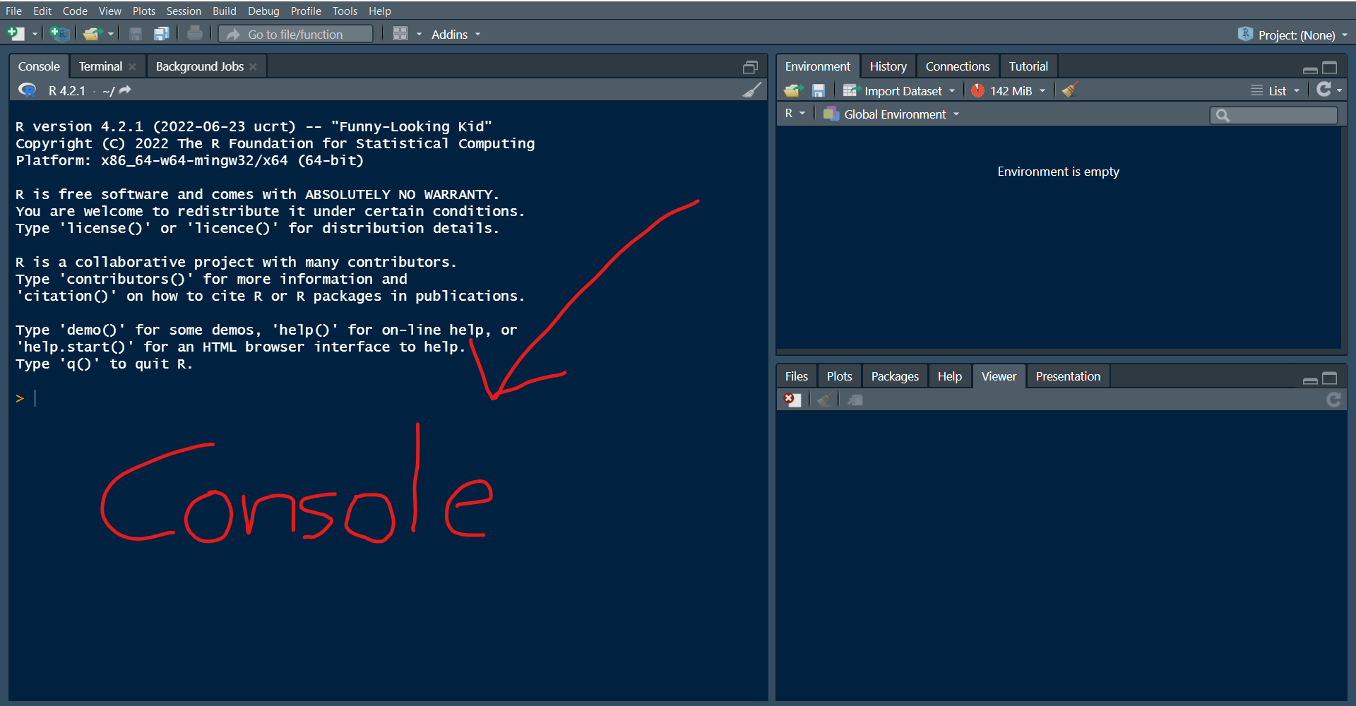 Screenshot of RStudio with the console pointed out